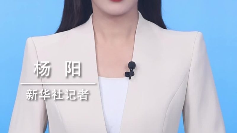 数据中台：企业数字化转型的核心